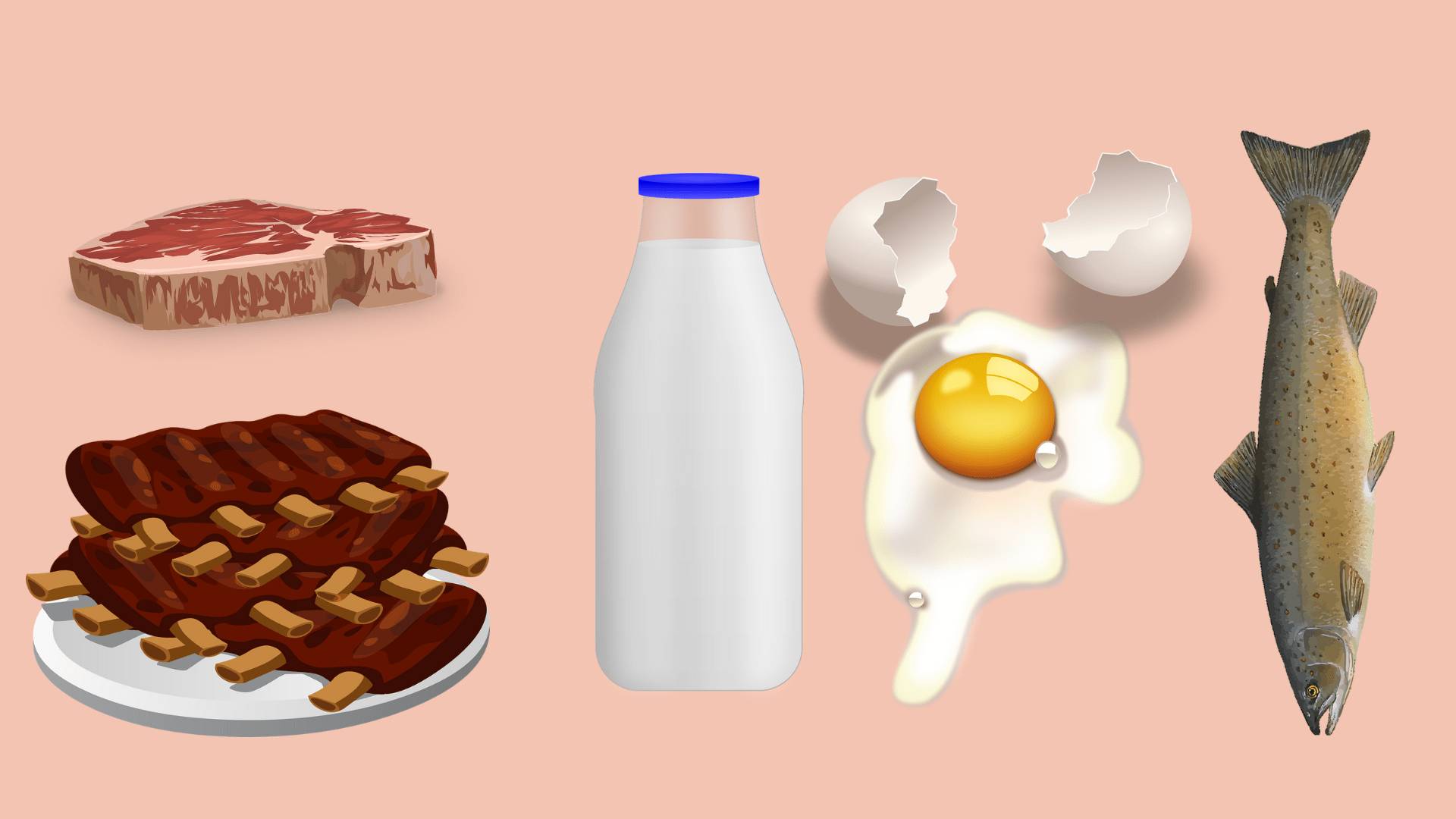 Vitamin B12 in non Vegetarian food